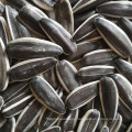 new crop 2019 Chinese OEM sunflower seeds raw type 363